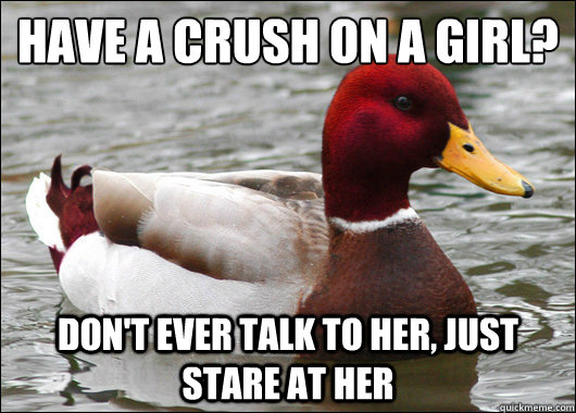 Have a crush on a girl?
 Don't ever talk to her, just stare at her   Malicious Advice Mallard