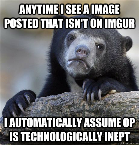 Anytime I see a image posted that isn't on imgur I automatically assume OP is technologically inept  - Anytime I see a image posted that isn't on imgur I automatically assume OP is technologically inept   Confession Bear
