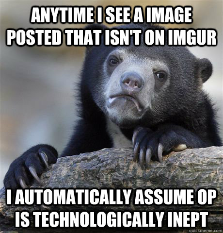 Anytime I see a image posted that isn't on imgur I automatically assume OP is technologically inept   Confession Bear