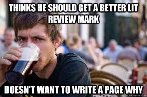 thinks he should get a better lit review mark doesn't want to write a page why  Lazy College Senior