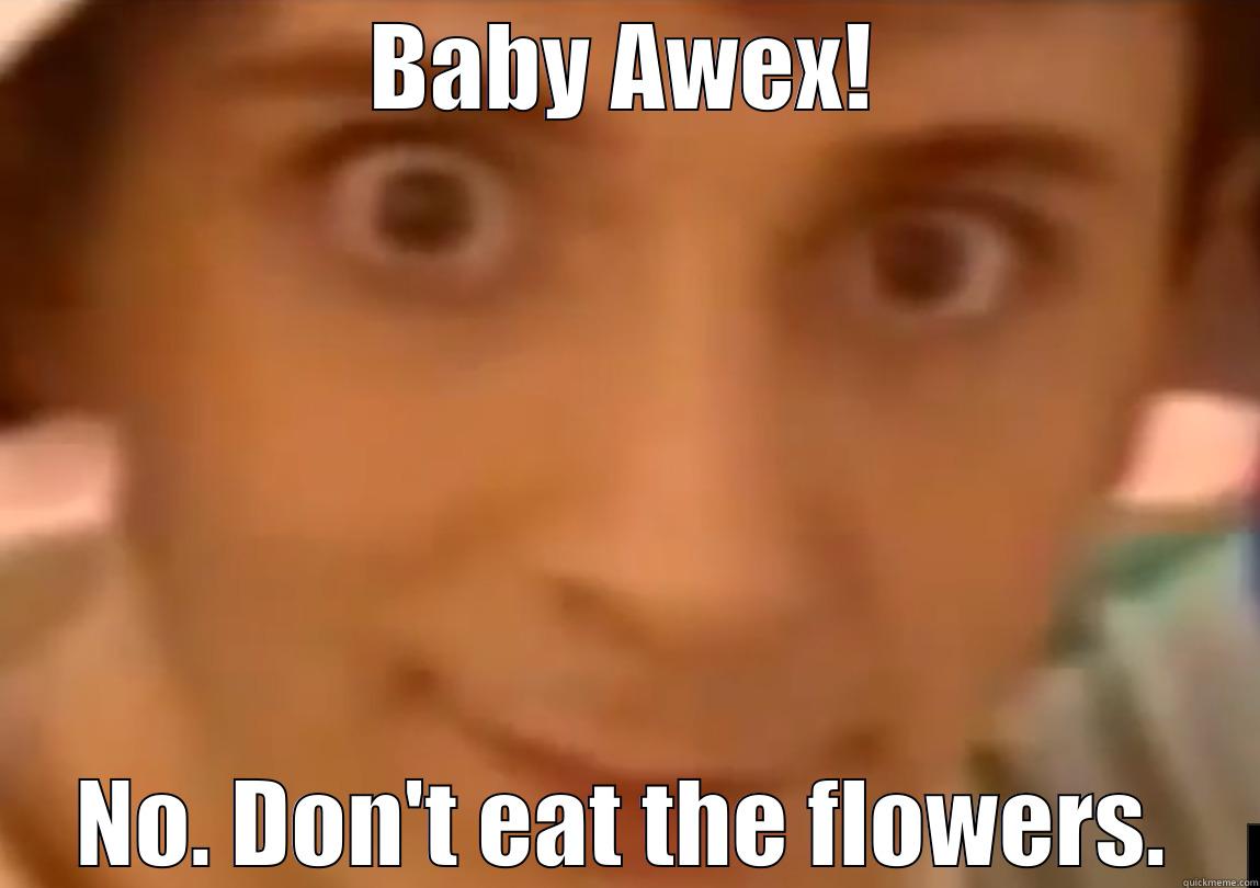 BABY AWEX! NO. DON'T EAT THE FLOWERS. Misc