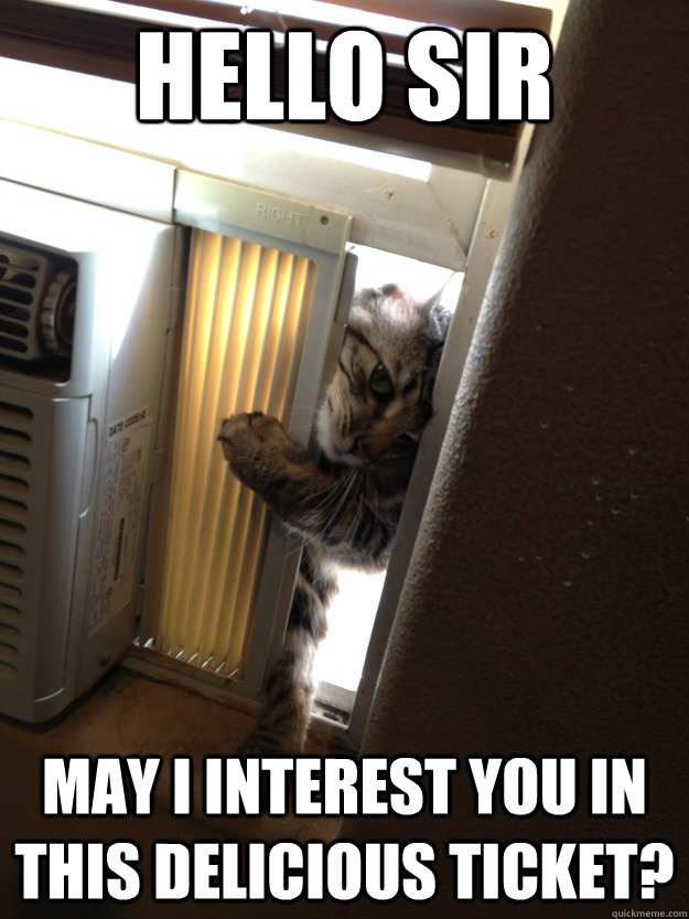 Hello Sir May I interest you in this delicious ticket? - Hello Sir May I interest you in this delicious ticket?  Jehovah Cat