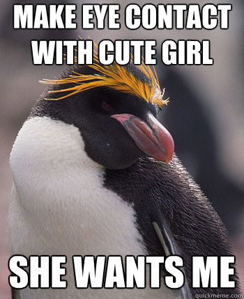 Make eye Contact with cute girl She wants me - Make eye Contact with cute girl She wants me  Socially Overconfident Penguin