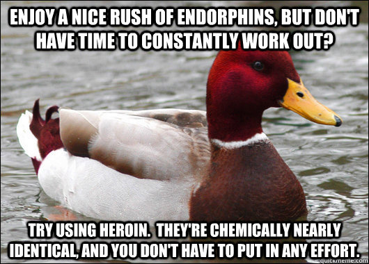 Enjoy a nice rush of endorphins, but don't have time to constantly work out? Try using heroin.  they're chemically nearly identical, and you don't have to put in any effort.  Malicious Advice Mallard