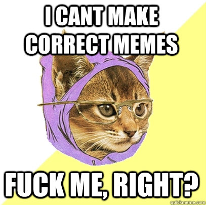I cant make correct memes fuck me, right? - I cant make correct memes fuck me, right?  Hipster Kitty
