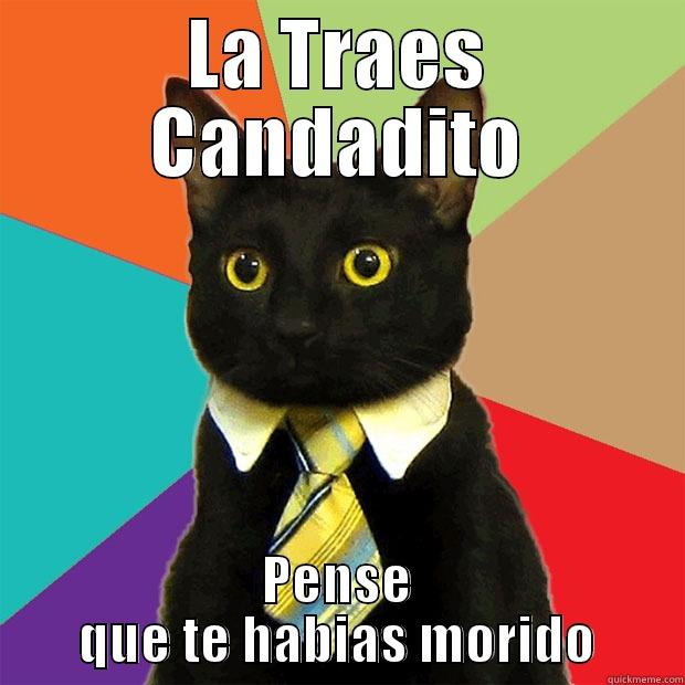 LA TRAES CANDADITO PENSE QUE TE HABIAS MORIDO Business Cat