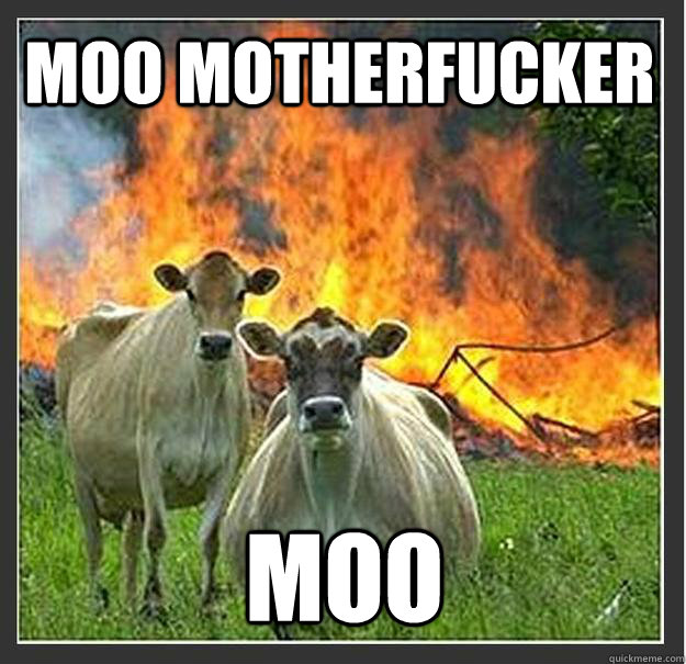 Moo Motherfucker Moo  Evil cows