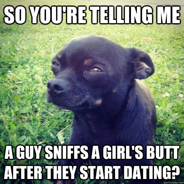 so you're telling me a guy sniffs a girl's butt after they start dating? - so you're telling me a guy sniffs a girl's butt after they start dating?  Skeptical Dog