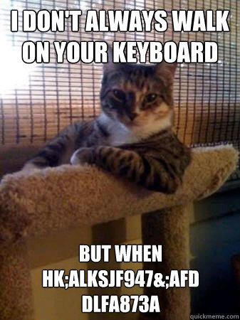 I don't always walk on your keyboard but when hk;alksjf947&;afd dlfa873a  The Most Interesting Cat in the World