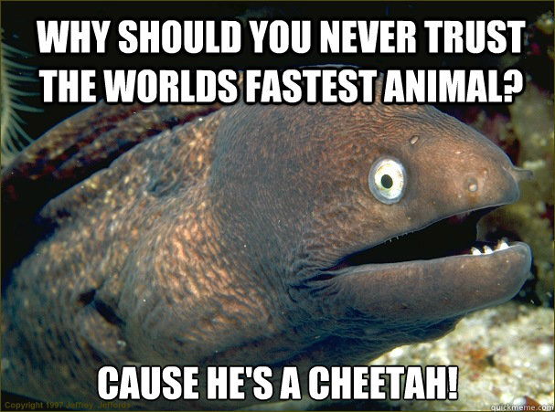 Why should you never trust the worlds fastest animal? cause he's a cheetah!  Bad Joke Eel