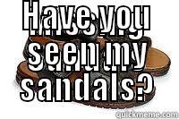MISSING SANDALS HAVE YOU SEEN MY SANDALS? Misc