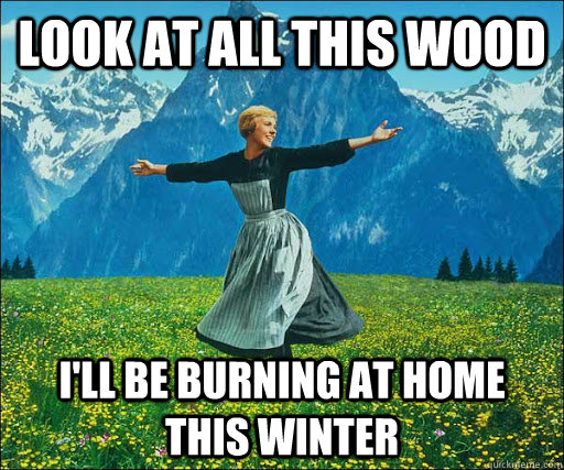 Look at all this wood I'll be burning at home this winter  Look at all