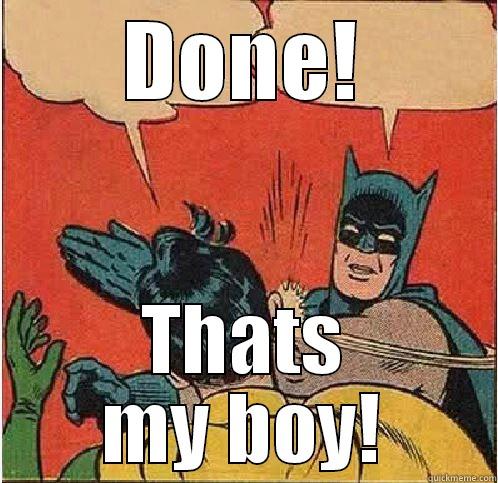 DONE! THATS MY BOY! Batman Slapping Robin