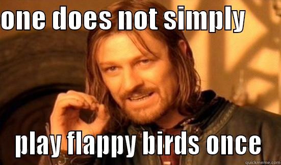 ONE DOES NOT SIMPLY        PLAY FLAPPY BIRDS ONCE Boromir