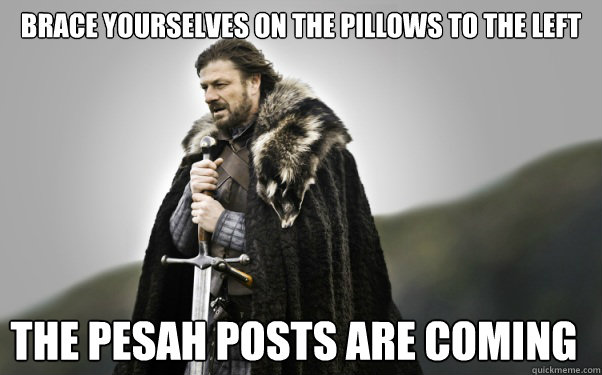 BRACE YOURSELVES ON THE PILLOWS TO THE LEFT the pesah posts are coming  Ned Stark