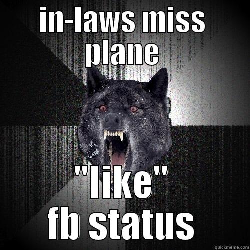 IN-LAWS MISS PLANE 