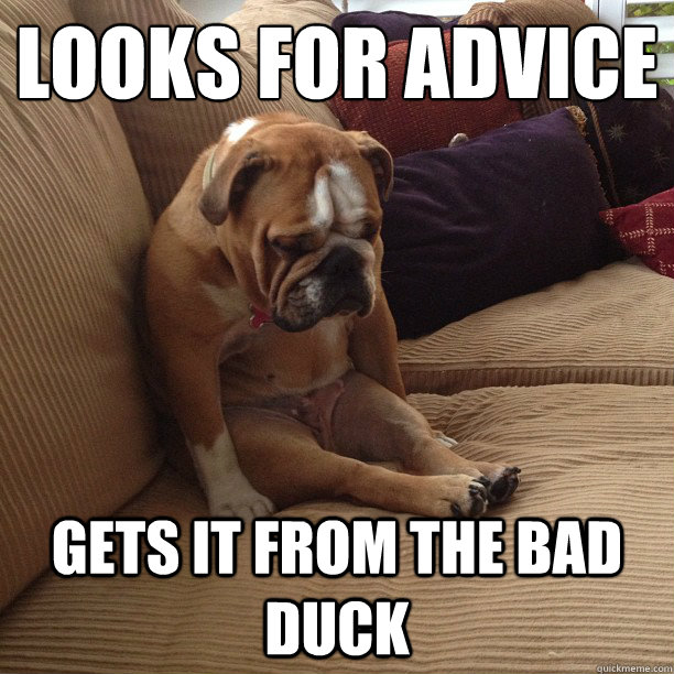 Looks for advice gets it from the bad duck  depressed dog