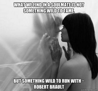 What we find in a soulmate is not something wild to tame,  but something wild to run with ~ 
Robert Brault  Soulmates