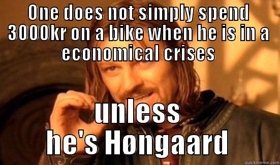 Big money spender 2.0 - ONE DOES NOT SIMPLY SPEND 3000KR ON A BIKE WHEN HE IS IN A ECONOMICAL CRISES UNLESS HE'S HØNGAARD Boromir