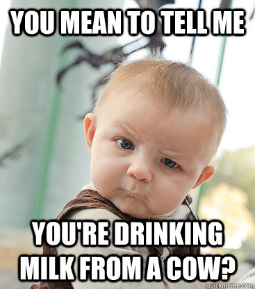you mean to tell me you're drinking milk from a cow?  skeptical baby