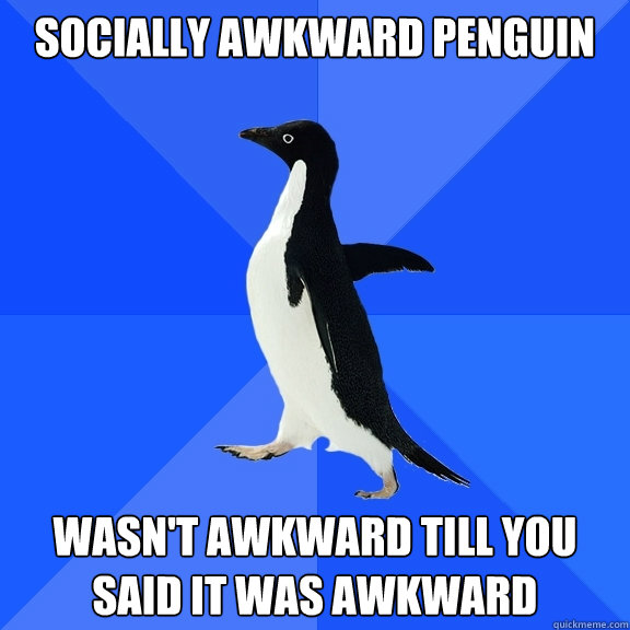 Socially awkward penguin Wasn't awkward till you said it was awkward  Socially Awkward Penguin