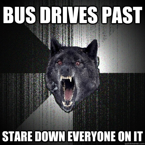 Bus drives past Stare down everyone on it  Insanity Wolf