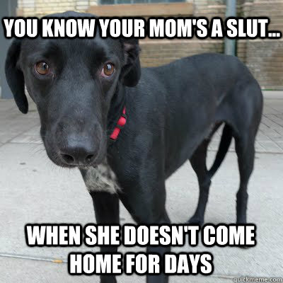 You know your Mom's a slut... When she doesn't come home for days - You know your Mom's a slut... When she doesn't come home for days  My Moms a Slut