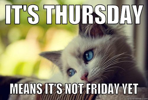 THURSDAY CAT -  IT'S THURSDAY   MEANS IT'S NOT FRIDAY YET First World Problems Cat