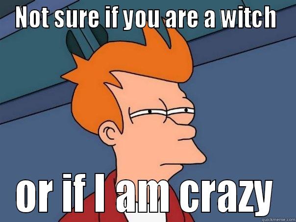 NOT SURE IF YOU ARE A WITCH OR IF I AM CRAZY Futurama Fry