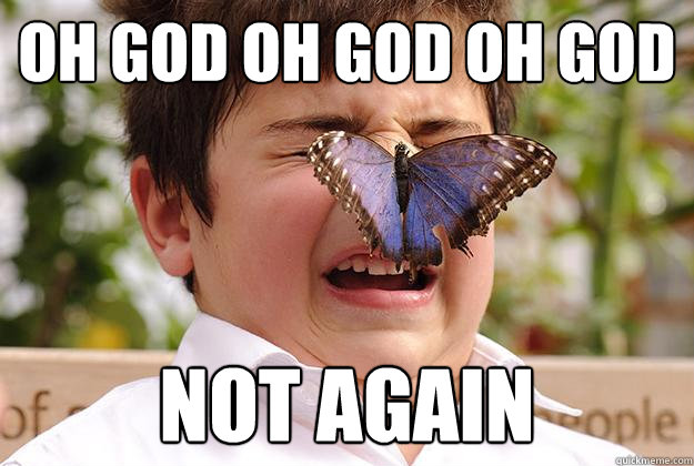 Oh god oh god oh god Not again - Oh god oh god oh god Not again  Cowardly butterfly child