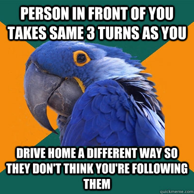 Person in front of you takes same 3 turns as you drive home a different way so they don't think you're following them  Paranoid Parrot