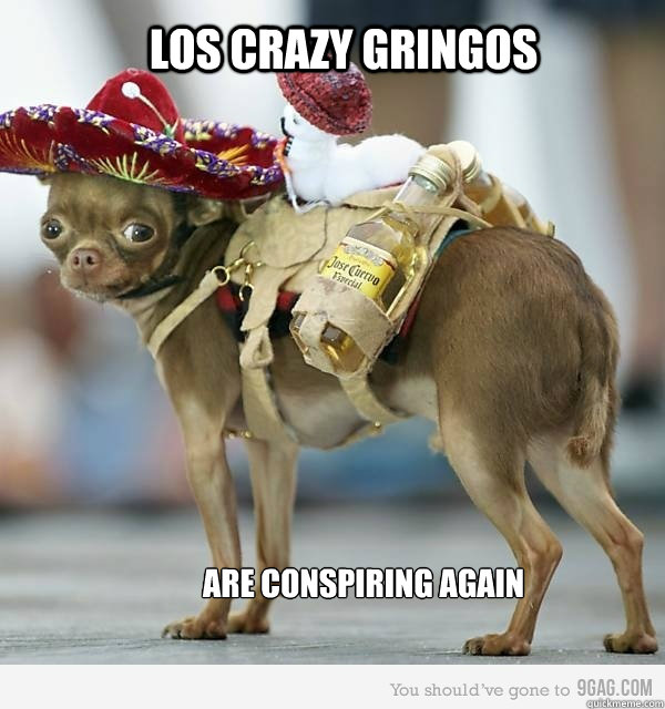 Los Crazy Gringos  Are conspiring Again - Los Crazy Gringos  Are conspiring Again  Mexican Dog