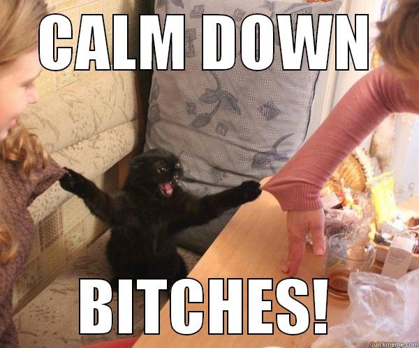 CALM DOWN BITCHES! Misc