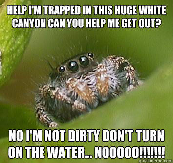 Help I'm trapped in this huge white canyon can you help me get out? No I'm not dirty don't turn on the water... NOOOOO!!!!!!! - Help I'm trapped in this huge white canyon can you help me get out? No I'm not dirty don't turn on the water... NOOOOO!!!!!!!  Misunderstood Spider