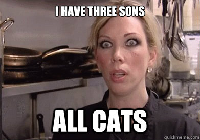 I have three sons All Cats - I have three sons All Cats  Crazy Amy