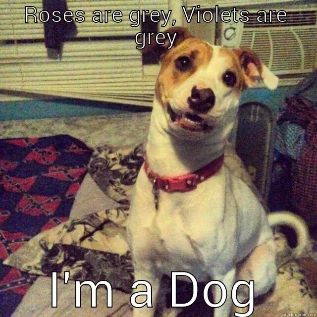 ROSES ARE GREY, VIOLETS ARE GREY I'M A DOG Misc