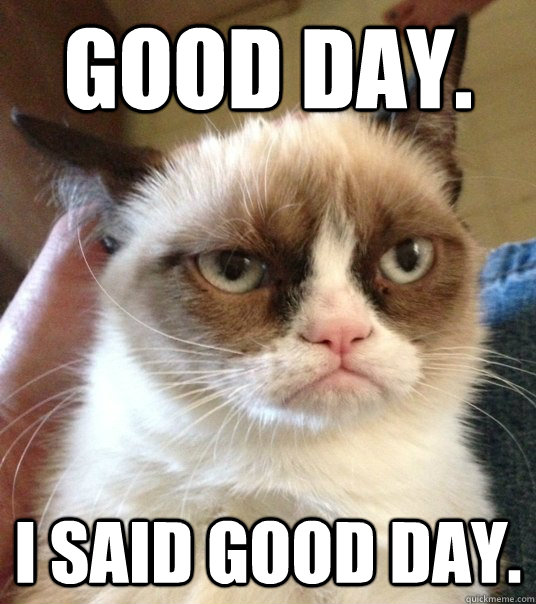 Good day. I said good day. - Good day. I said good day.  Good Day Grumpy Cat