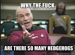 why the fuck are there so many hedgehogs  Annoyed Picard