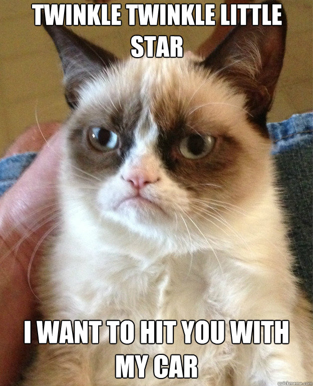 Twinkle Twinkle Little Star I want to hit you with my car - Twinkle Twinkle Little Star I want to hit you with my car  Misc