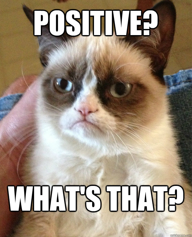 positive? what's that?  Grumpy Cat