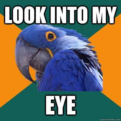 look into my eye  Paranoid Parrot