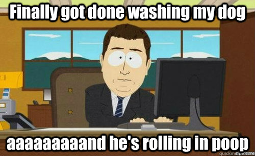 Finally got done washing my dog aaaaaaaaand he's rolling in poop  anditsgone