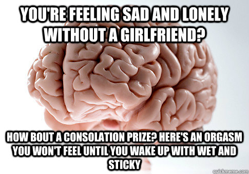 You're feeling sad and lonely without a girlfriend? How bout a consolation prize? Here's an orgasm you won't feel until you wake up with wet and sticky - You're feeling sad and lonely without a girlfriend? How bout a consolation prize? Here's an orgasm you won't feel until you wake up with wet and sticky  Scumbag Brain