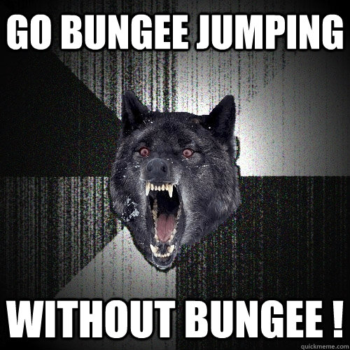 Go bungee jumping Without bungee !  Insanity Wolf