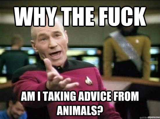 Why the fuck am i taking advice from animals?  Annoyed Picard HD