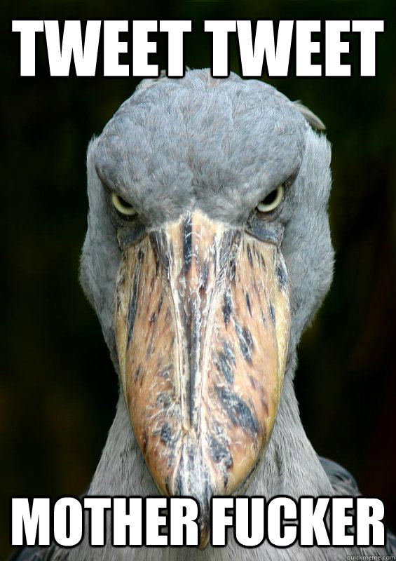 Tweet tweet mother fucker - Tweet tweet mother fucker  actually angry bird