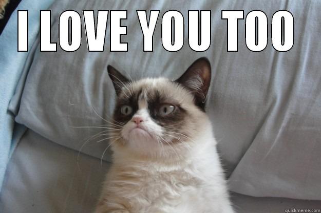I LOVE YOU TOO  Grumpy Cat