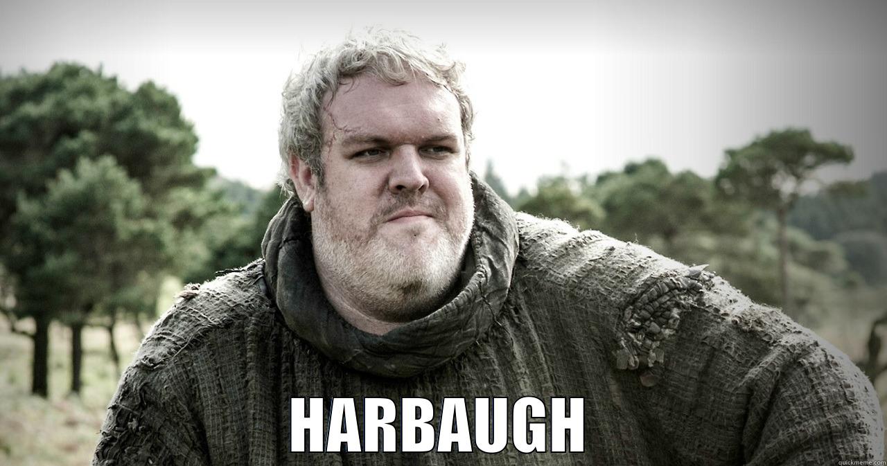 HARBAUGH HODOR HARBAUGH -  HARBAUGH Misc