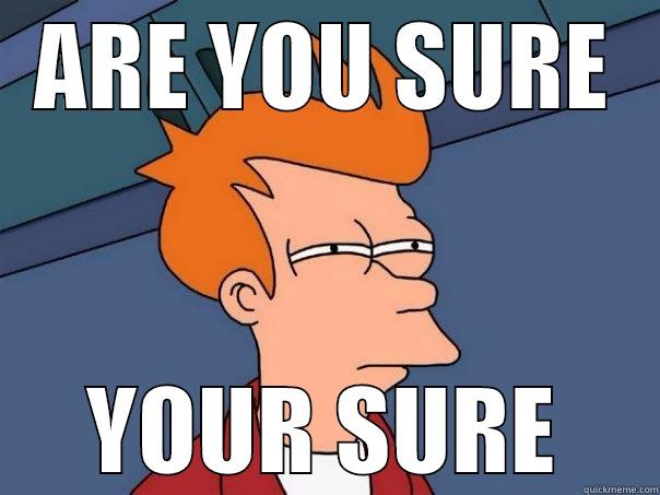 ARE YOU SURE YOUR SURE Futurama Fry