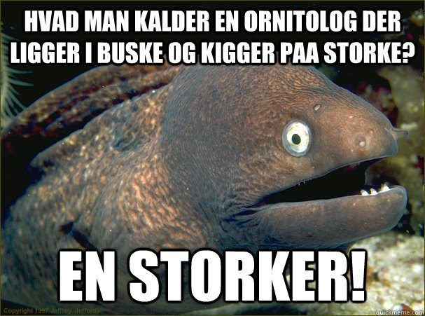 Hvad man kalder en ornitolog der ligger i buske og kigger paa storke? En storker!  Bad Joke Eel